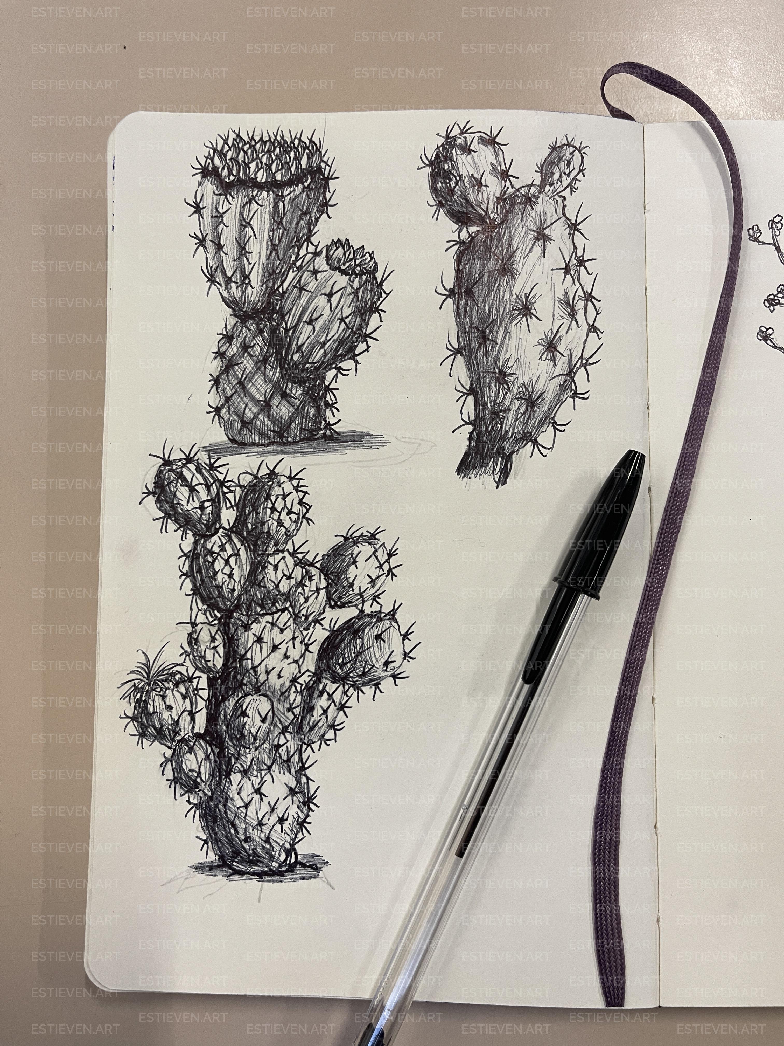 Dessin 1