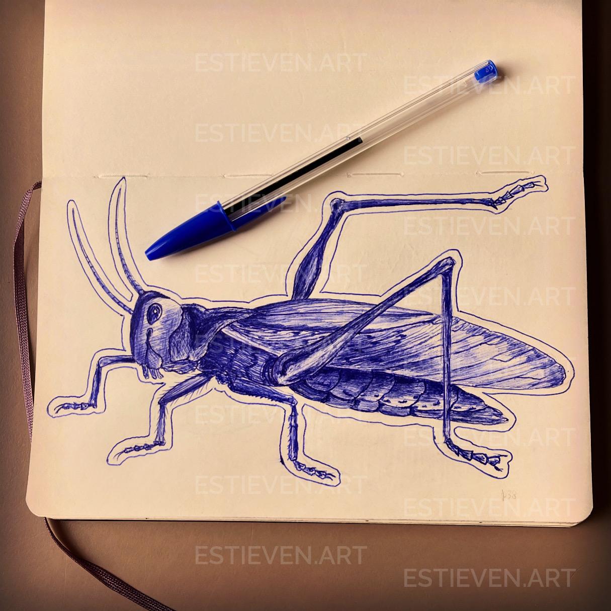 Dessin 2