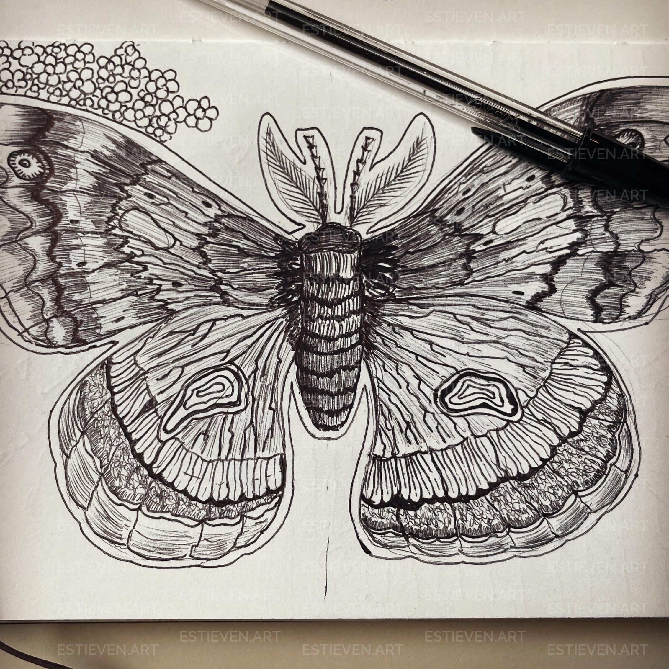Dessin 4